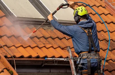 Démoussage et hydrofuge de toiture à Morton
